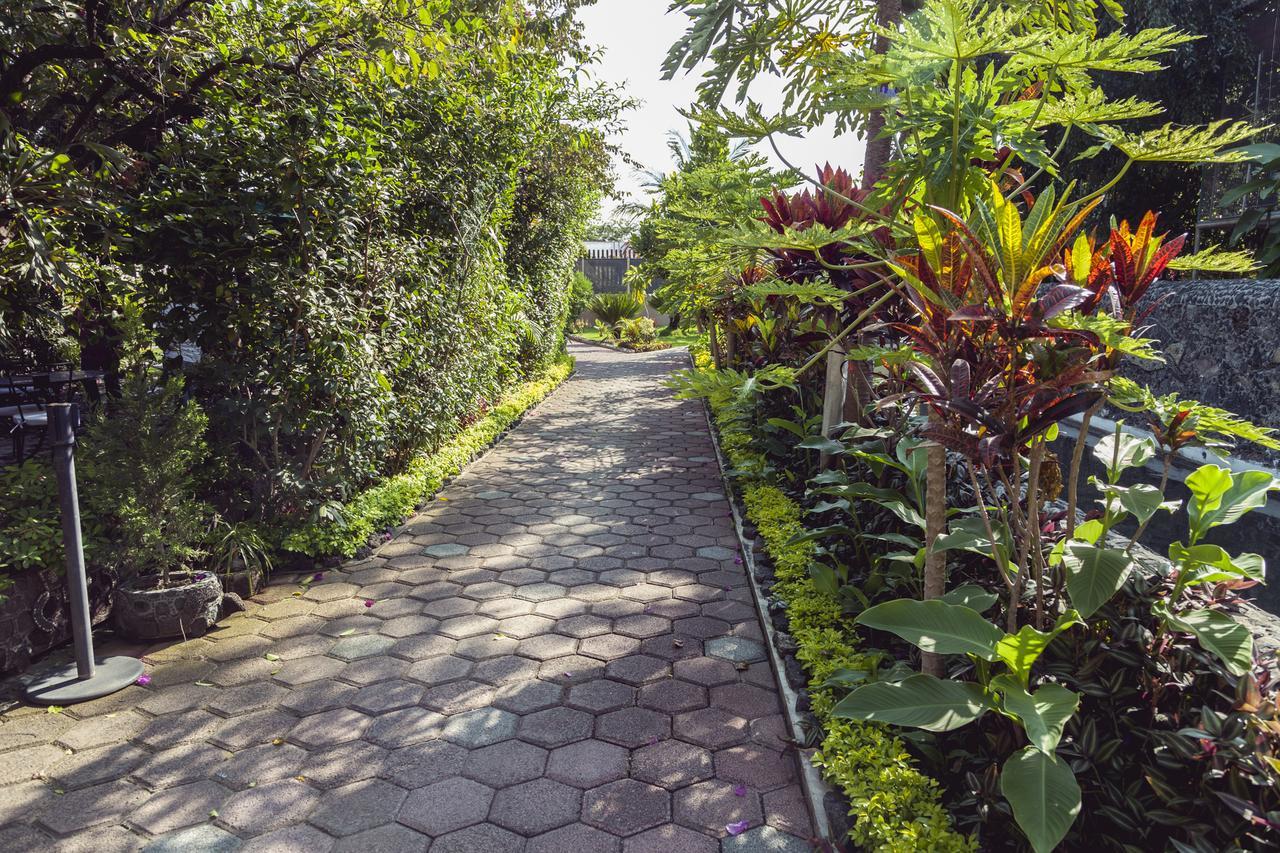 ホテルBungalows Y Temazcal Zoviq ソチテペック エクステリア 写真