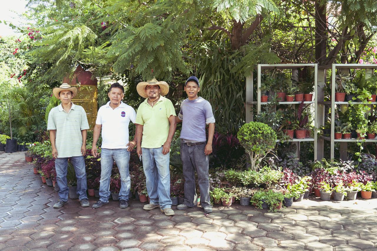 ホテルBungalows Y Temazcal Zoviq ソチテペック エクステリア 写真